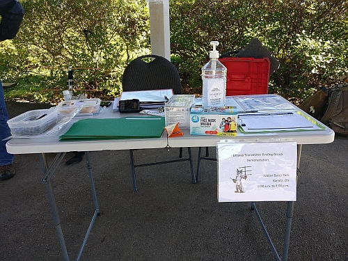 Right click and select view image