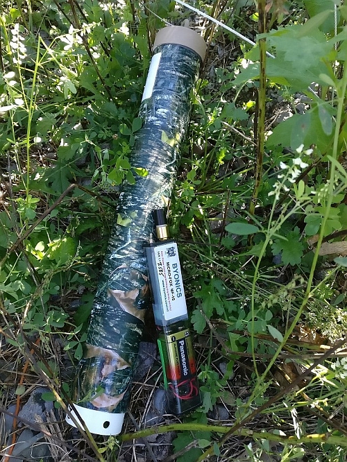 Right click and select view image