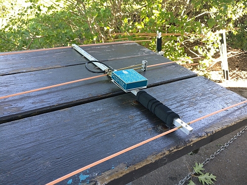 Right click and select view image