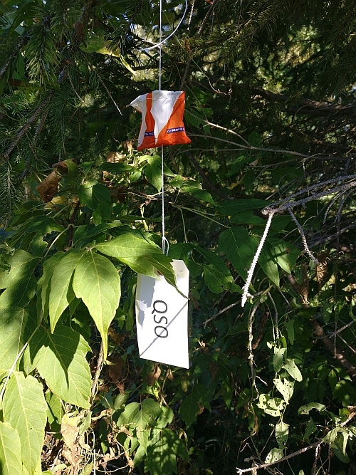 Right click and select view image