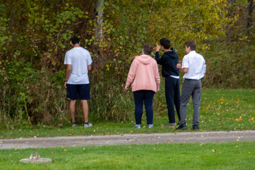 Right click and select view image