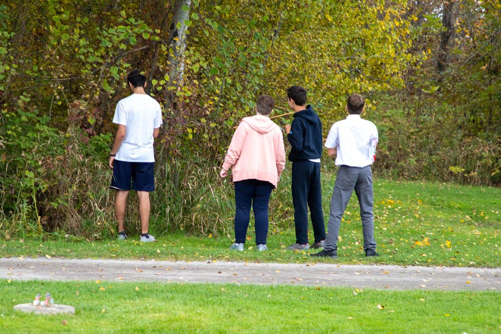 Right click and select view image