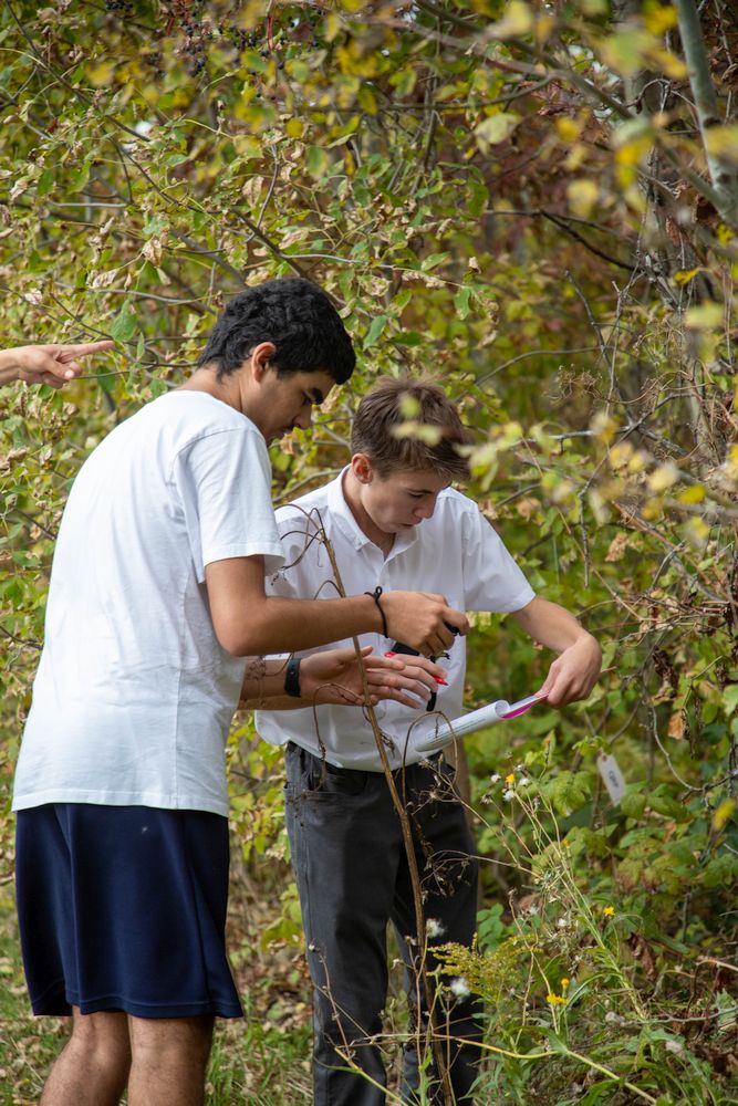 Right click and select view image