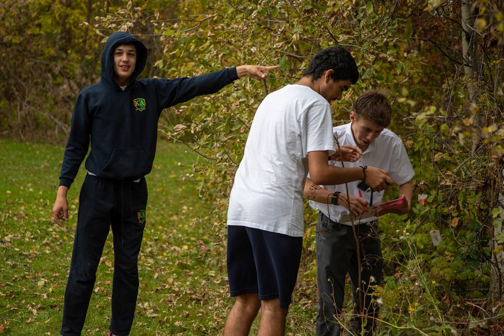 Right click and select view image