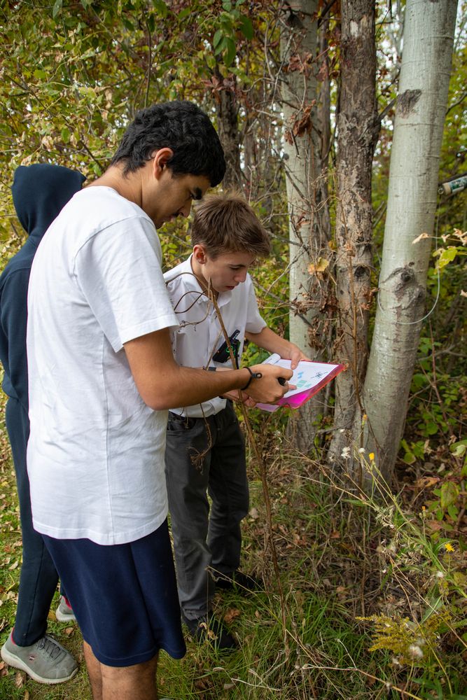 Right click and select view image