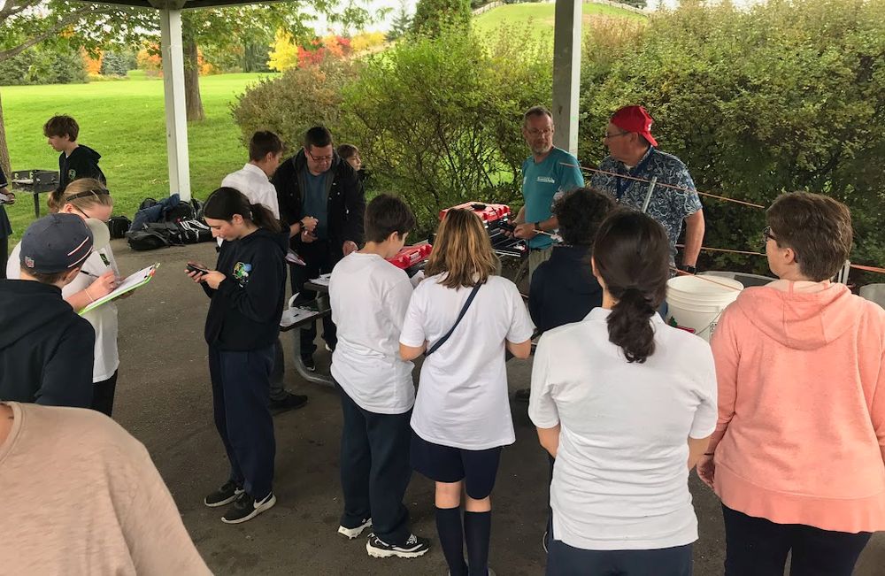 Right click and select view image